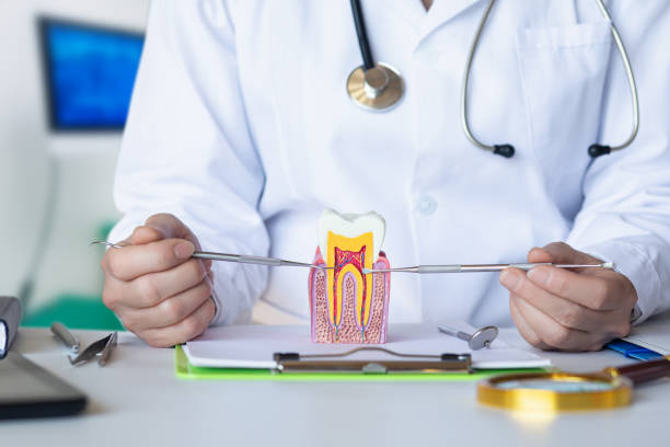 Best Emergency Tooth Extraction in Old Orchard, PA